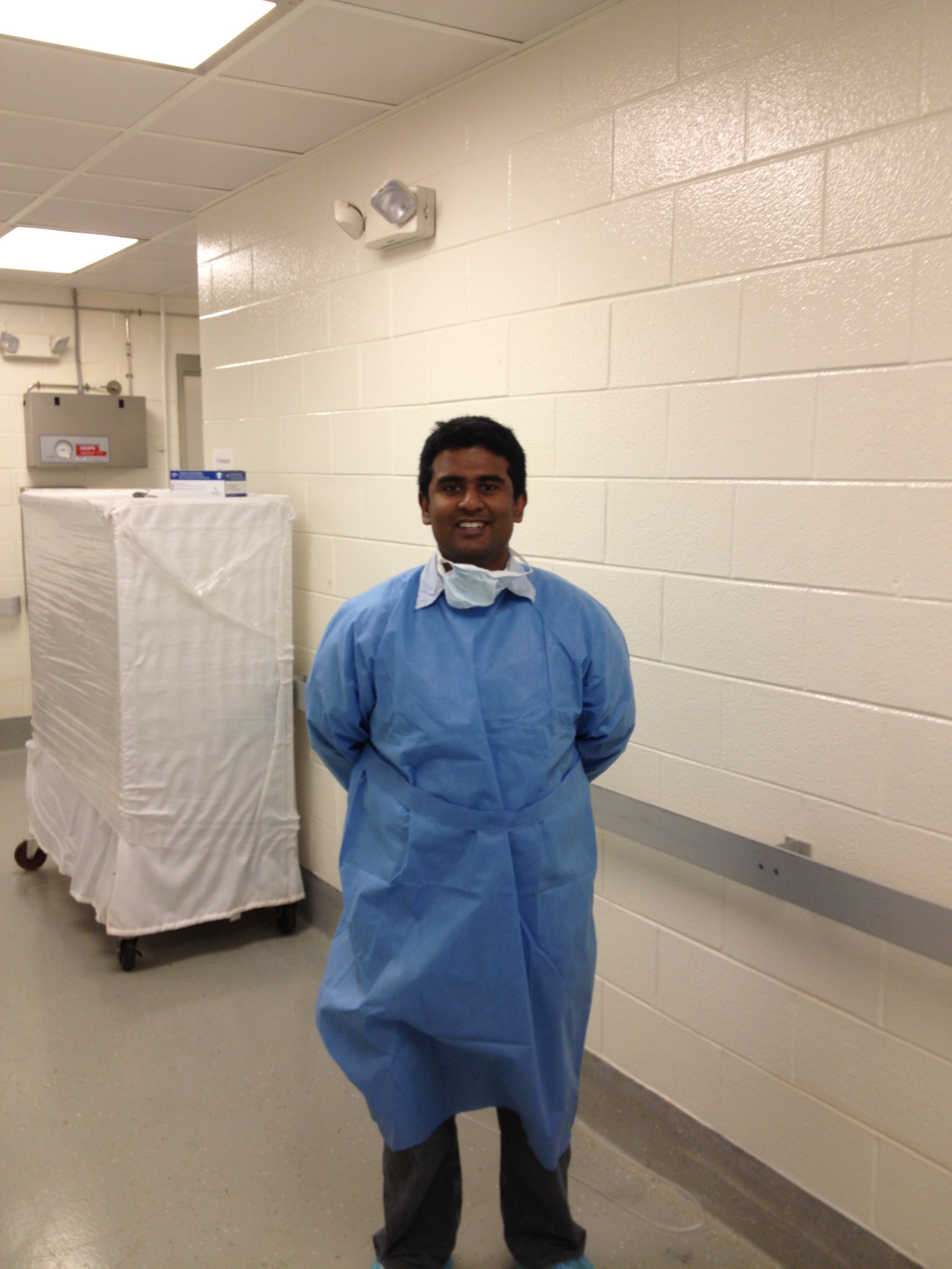 Preparing for the animal trial